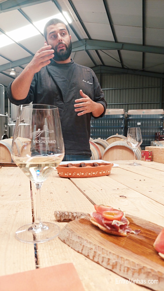 enoturismo em trás-os-montes