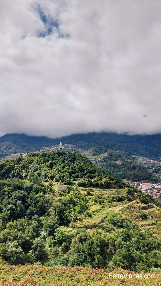 enoturismo madeira
