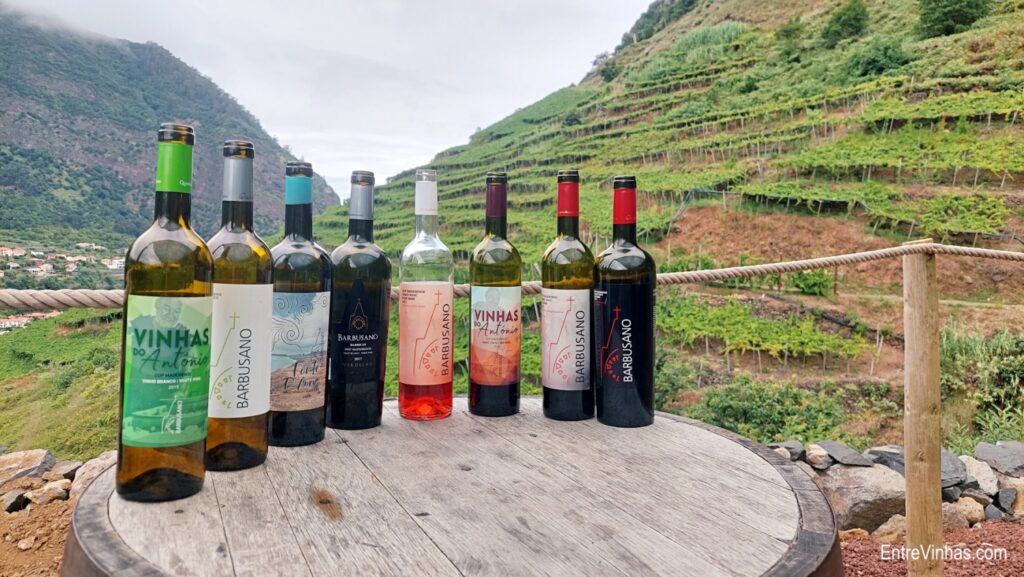 enoturismo madeira