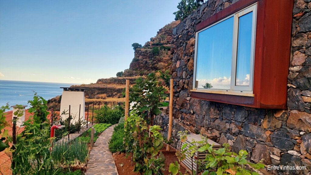 enoturismo madeira