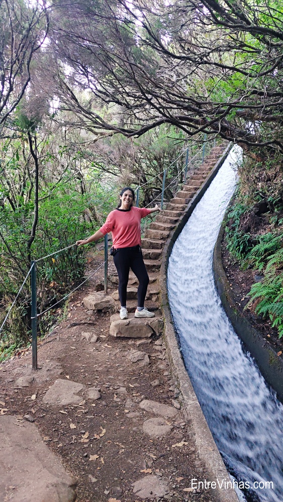 enoturismo madeira