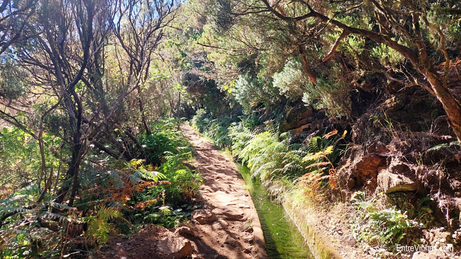 enoturismo madeira