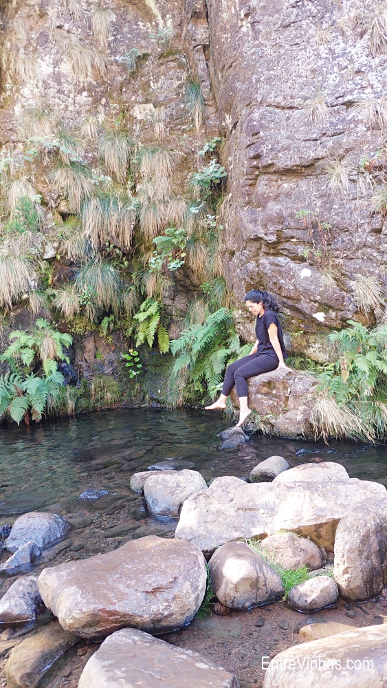 enoturismo madeira
