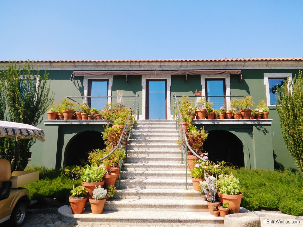 passagem de ano vinho verde