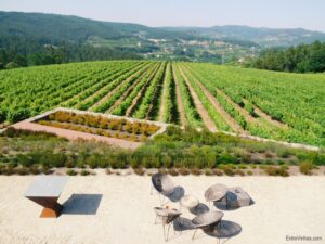 passagem de ano adega vinho verde