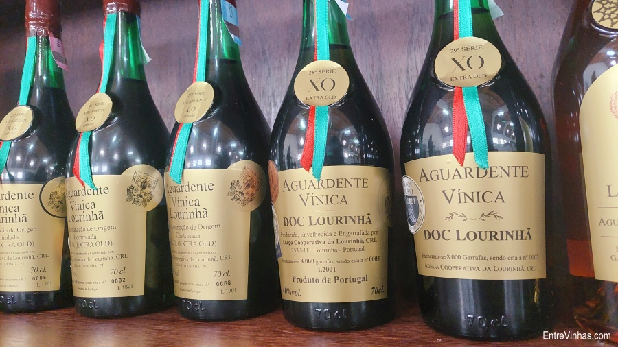 adega cooperativa da lourinhã