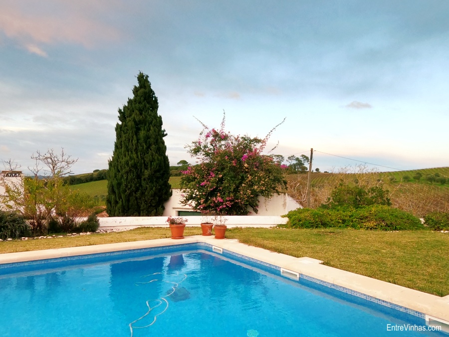 enoturismo no inverno lisboa