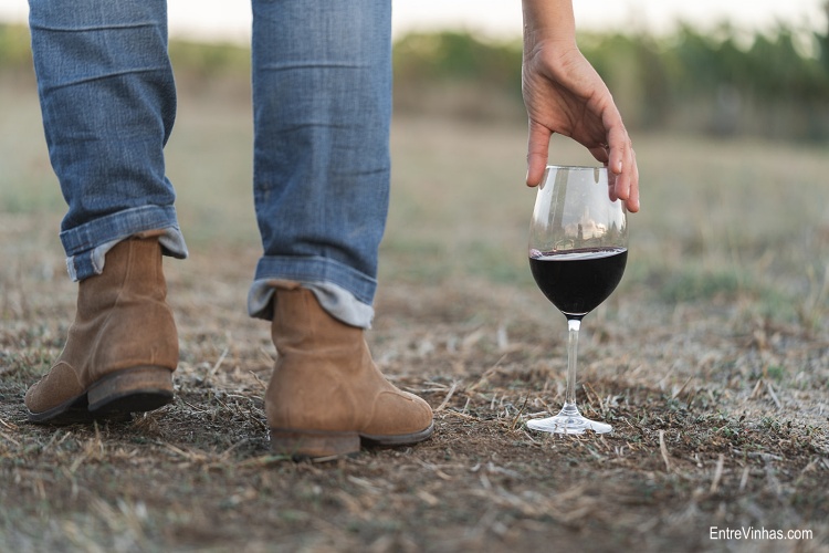 tendências enoturismo 2025