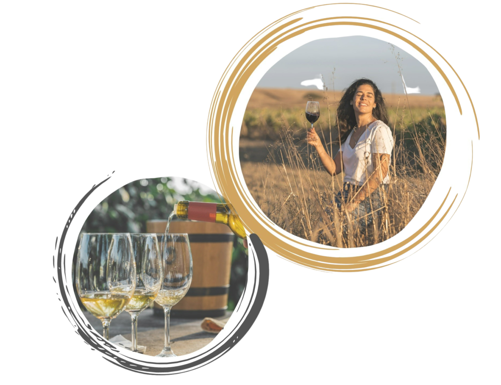 workshop vinhos madalena vidigal