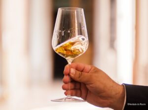 mão segura copo de vinho em movimento