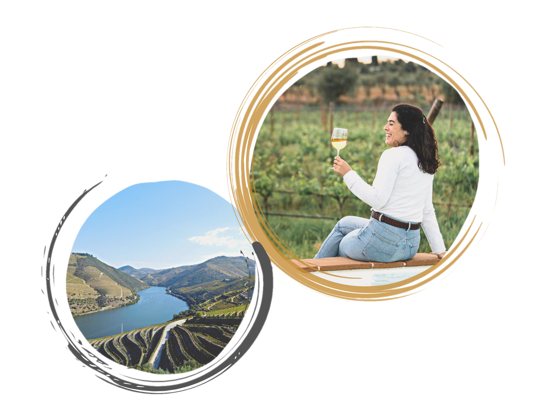 curso enoturismo online